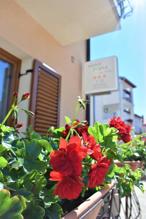 Apartments & Rooms Ivana Rovinj Oda fotoğraf